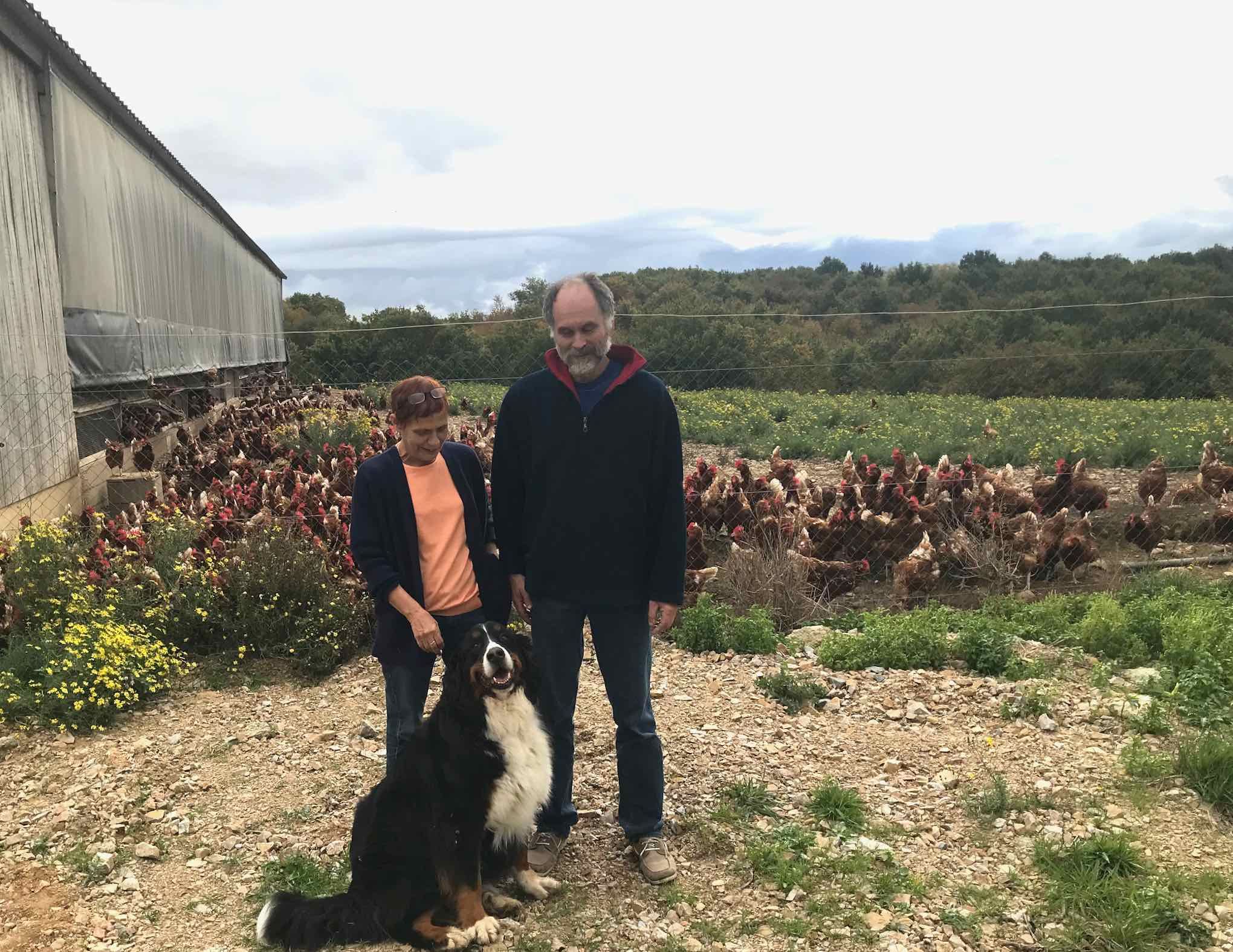 Poule de la ferme du Grillet